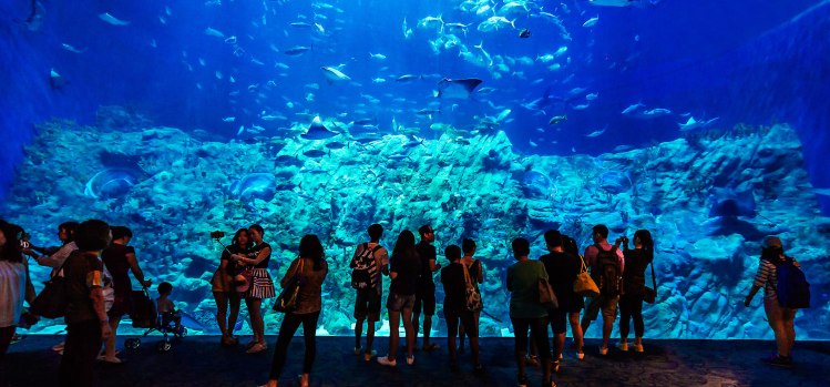 grand-aquarium-hong-kong