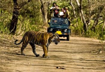 Golden Triangle india